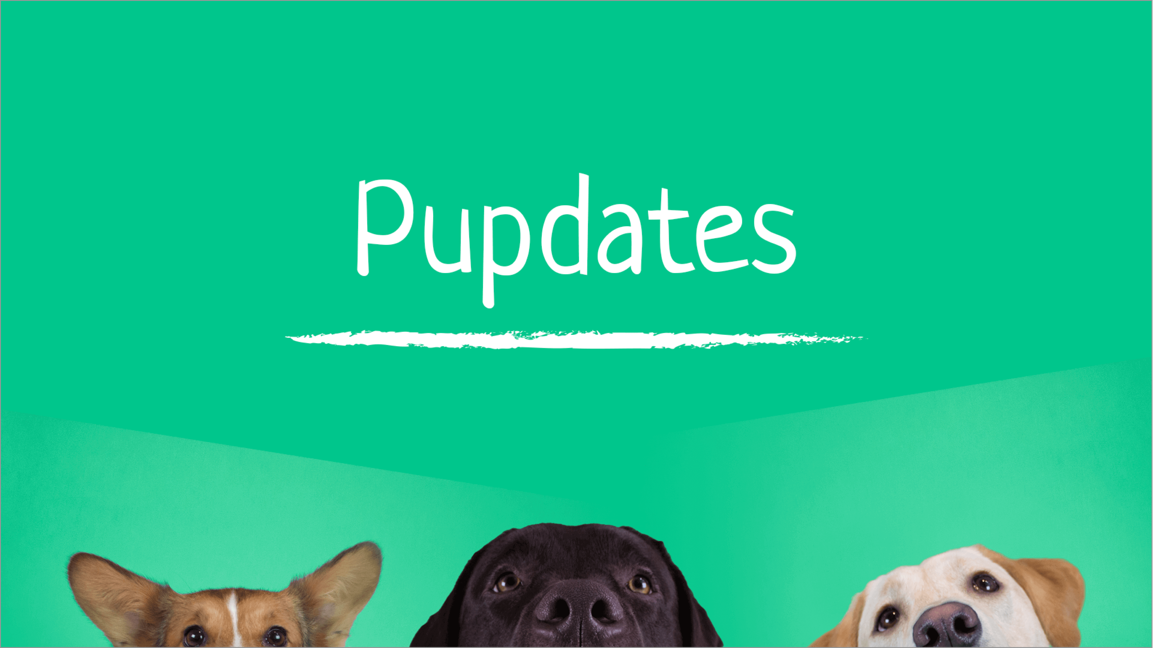 Waggy Tales - Owner Margaret and Ralphie, Scotland